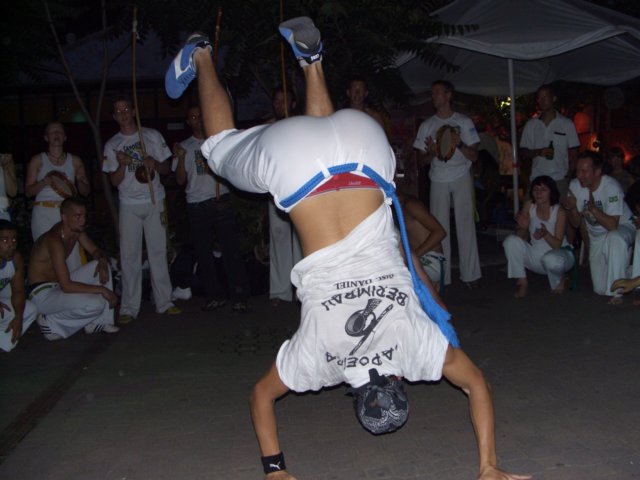 Photograph