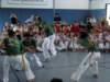 Photo Number 8