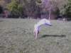 Photo Number 14